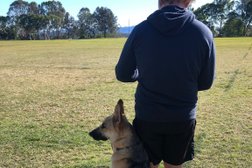 Craig A. Murray Dog Training in Logan City