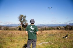 Wildlife Drones - Animal Tracking Photo