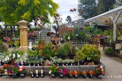 Sorell Nursery and Landscape Supplies in Tasmania