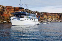 Wildcard Luxury Cruises in Northern Territory