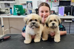 W.A. Dog Grooming & Clipping Academy Photo