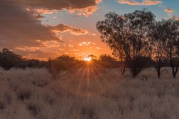 The Kangaroo Sanctuary in Northern Territory
