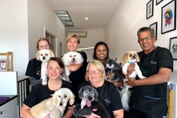 Australian Dog Grooming School Photo