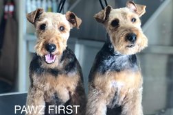 Pawz First | Dog Groomers | Quinns Rocks Photo