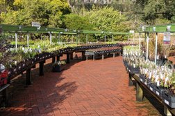 State Flora Nursery in Adelaide