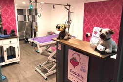 Poochie Playhouse & Pampering Photo
