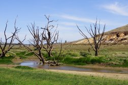 Welshmans Reef Caravan Park in Victoria