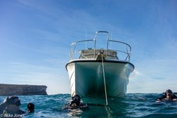 Sydney Dive Charters in New South Wales