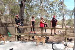 Houndog Doggy Day Care, Dog Sitting, Dog Minding in Brisbane