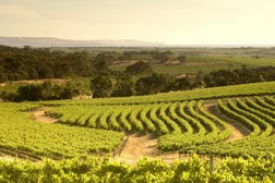 See Adelaide - Wine Tours from Adelaide in Adelaide