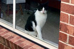 Pet Nets WA Cat Enclosure Installers Photo