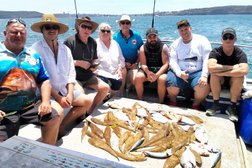 Chase the Bite Fishing Charters in Sydney
