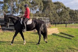 Forest View Thoroughbreds. Specialising in Off The Track Education in Melbourne
