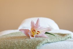 Bodywork Massage and Wellness Photo