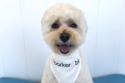 Barker & Blu dog grooming and daycare in Sydney