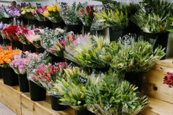 Southside Flower Market in Logan City