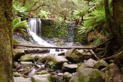 Lady Barron Falls in Tasmania