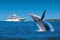 Tangalooma Whale Watch Cruises in Brisbane