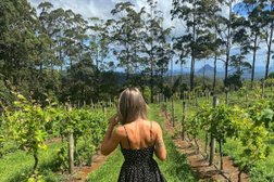 Tipsy Tours Sunshine Coast in Queensland