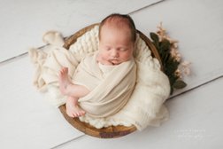 Lynn Roberts Baby Photography Photo