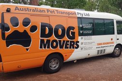 Dogmovers Pet Transport in Logan City