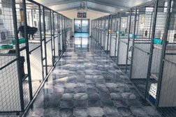 View Bank Cattery and Kennels in Tasmania
