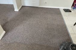 Peninsula Carpet Cleaning and pest management Photo