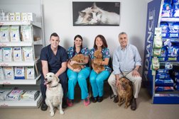 MyOwnVet Veterinary Surgery in Brisbane