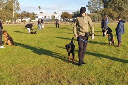Complete Canine Training Solutions Photo