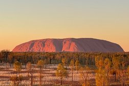 Field of Light Uluru Photo