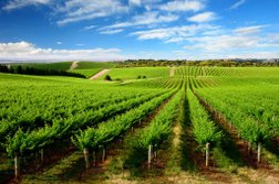 Spirit of the Fleurieu Tours in Adelaide