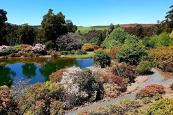 Emu Valley Rhododendron Garden in Tasmania