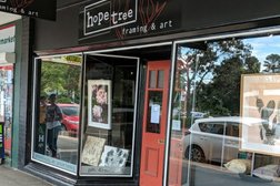 Hope tree framing in Sydney
