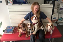 Monier Veterinary Clinic in Brisbane