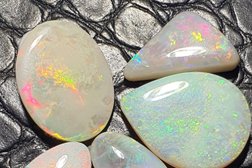 wildfireopals.com Photo