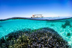 Ningaloo Glass Bottom Boat in Western Australia
