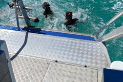 Ningaloo Marine Interactions in Western Australia