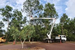 Abetta property maintenance and tree service Photo