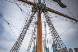 Sydney Harbour Tall Ships Photo