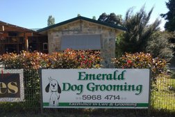Emerald Dog Grooming in Melbourne