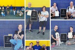 Positive Response Dog Training in Logan City