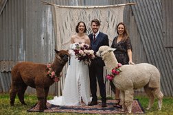 Vicky Flanegan-Adelaide Marriage Celebrant Photo