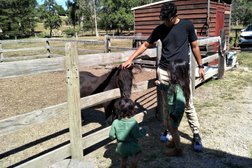 Aquila Acres Farm Stay and Equine Learning in Melbourne