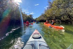 Adventure Kayaking SA| Port River Dolphins Photo