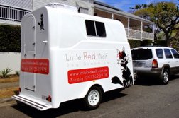Little Red Wolf - Mobile Dog Grooming Photo