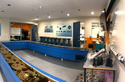 Woodbridge School Marine Discovery Centre Photo