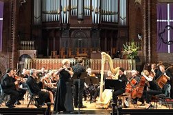 Brisbane Harpist - Harp Tidings Photo