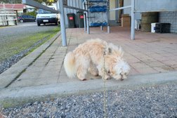 Spreyton Veterinary Services in Tasmania