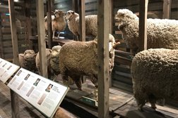 National Wool Museum in Geelong