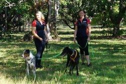 Pawsitive K9 Behaviour in Northern Territory